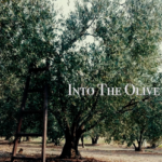 Into The Olive Tree